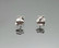 Silver earrings