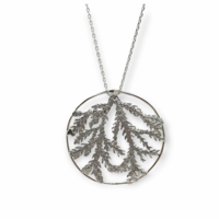 Thuja