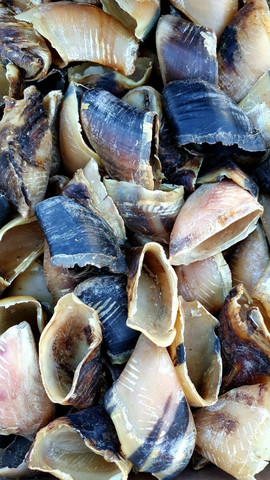 KUIVATTU NAUDAN SORKAT 3KG