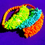 Moppi Ring