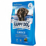 Happy Dog Sensible Greece