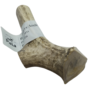 Reindeer Antle