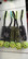 BERRA Ultimate bungee toy with fake fur with green ball