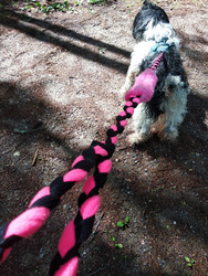 Fleece leash ventapad piece160 cm BGB