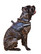 DogExtremе  with replaceable stickers 70-100 cm  taskulampulla