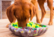 Wufsalad treatmat