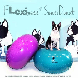 Flexiness SensiDonut - Violetti