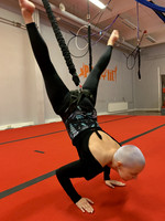 Aerial bungee alkeet workshop KAMPPI 24.9.2023