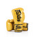 Fairtex BGV18 Nyrkkeilyhanskat