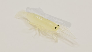 Prawn Glow 50mm 6kpl