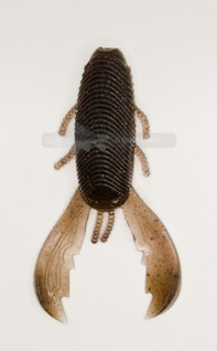 Bazzy Bug Summer Craw 3,2