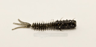 Clam Worm 40mm väri 123 10kpl