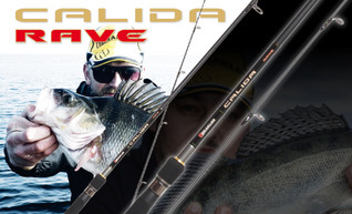 Calida Rave HCS2-600ML vavan kärkiosa, 91cm tyvi 4,8cm