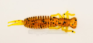 Akara Insect 65mm väri 417 4kpl