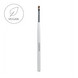 Lip Brush