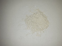 Bodyshimmer Pure White 10 g