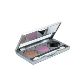 Eye shadow palette with magnets