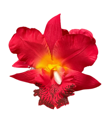 Hainhammas orkidea, isokukkainen hiusklipsi