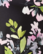 Elsie Kynämekko - Night Floral