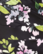 Elsie Kynämekko - Night Floral