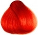 Herman's Amazing Ruby Red