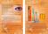 Prolash+ II Eyelash Growth ripsiseerumi 6,5ml