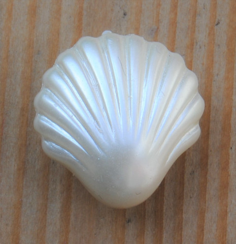 Valkoinen simpukkanappi, 15 mm