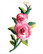 Vaaleanpunainen kukka-koristekuvio