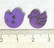 Violetti lintunappi, 12 mm