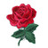 Punainen ruusu-koristekuvio