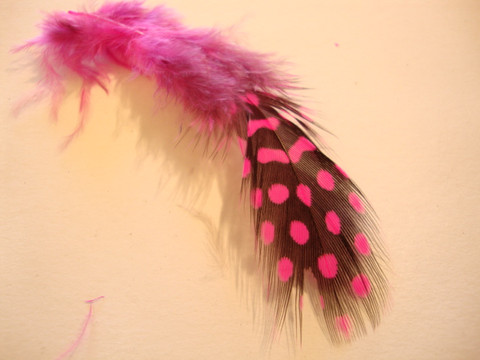 Helmikanan sulka/höyhen värjätty fuksia (n.20/pss)