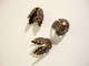 Vintaj Wisteria helmihattu 10,5 x 8 mm (2 kpl/pss)