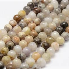 Kivihelmi Bamboo leaf Agate 8 mm  (20 kpl)