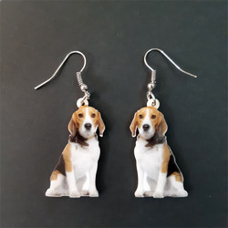 Beagle -korvakorut