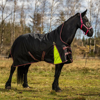 Sadeloimi 100g täytteellä