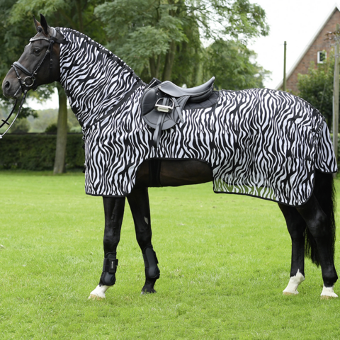Ratsastusloimi: Zebra III