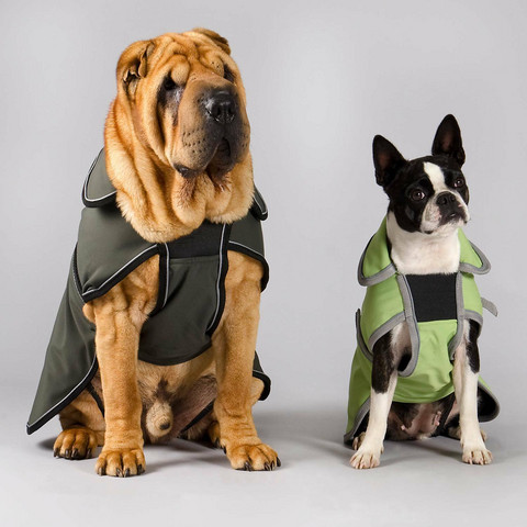 Koiran softshell-takki: Vihreä