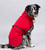 Koiran softshell-takki: Punainen