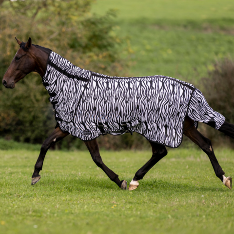 Flexi Zebra ötökkäloimi