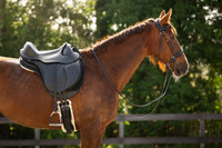 Barefoot® PRO 'Nottingham-satula