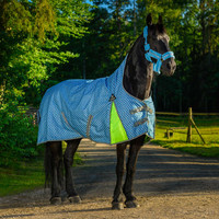 Sadeloimi: Heijastava 100g