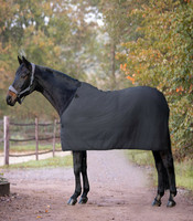 Economic-alusloimi: fleece