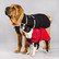 Koiran softshell-takki: Punainen