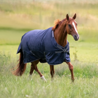 Ulkoloimi Flexible Pro:  Navy 50g