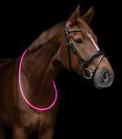 Led Kaulavalo