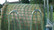 Heinäverkko ruokintatelineeseen 2,8m x 2,8m