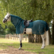 Ratsastusloimi: Moskito III: teal