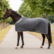 Cooler 3D AIR PREMIUM: harmaa