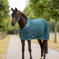Cooler 3D AIR PREMIUM: teal