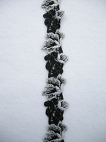 Pitsinauha: Valko/musta 2,5cm